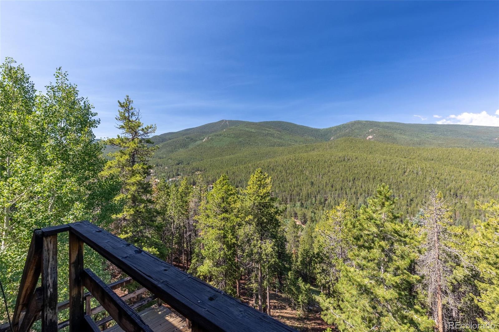 8643 Martin Lane Conifer, CO 80433 - Photo 29 of 37