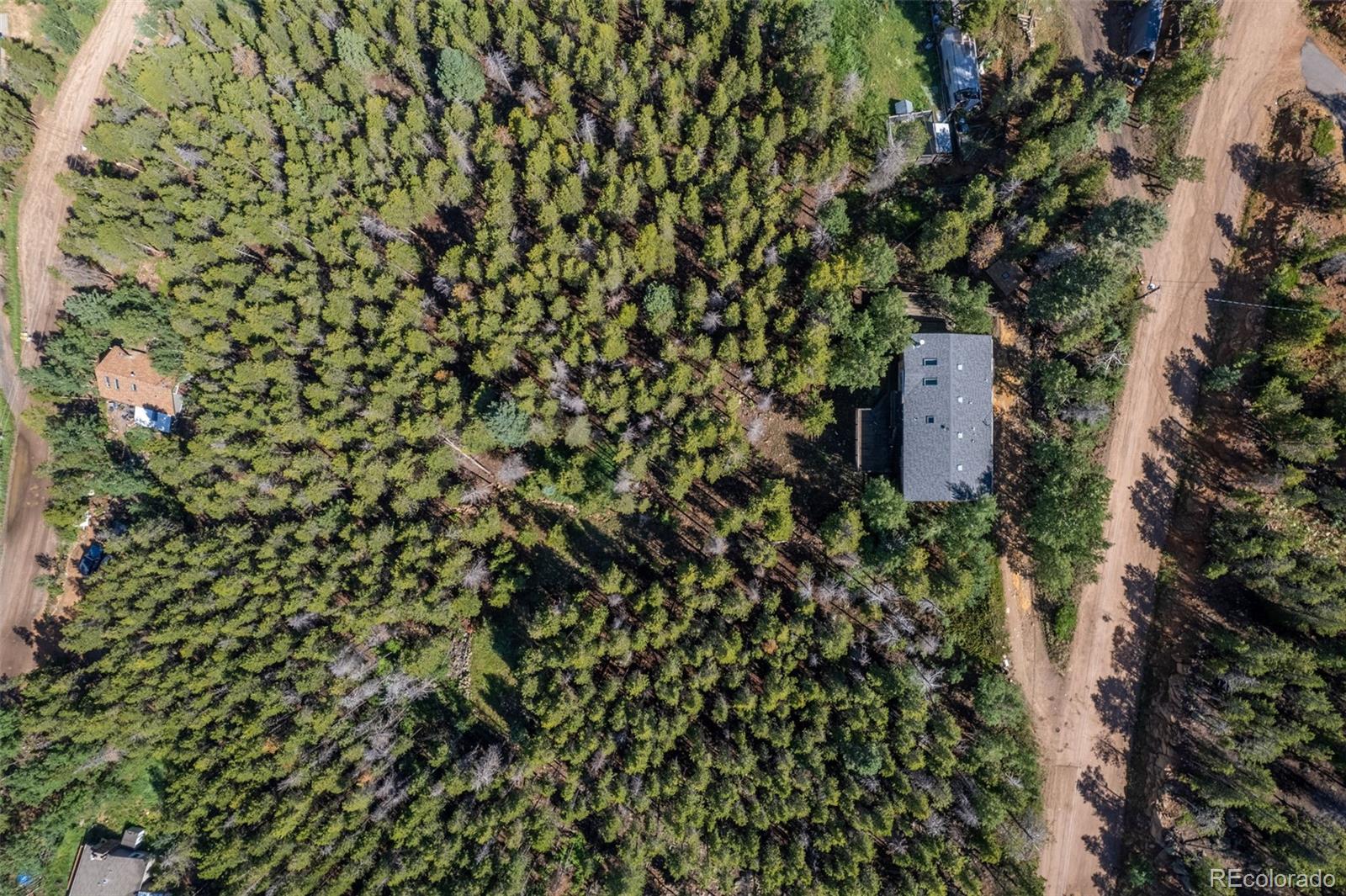 8643 Martin Lane Conifer, CO 80433 - Photo 34 of 37