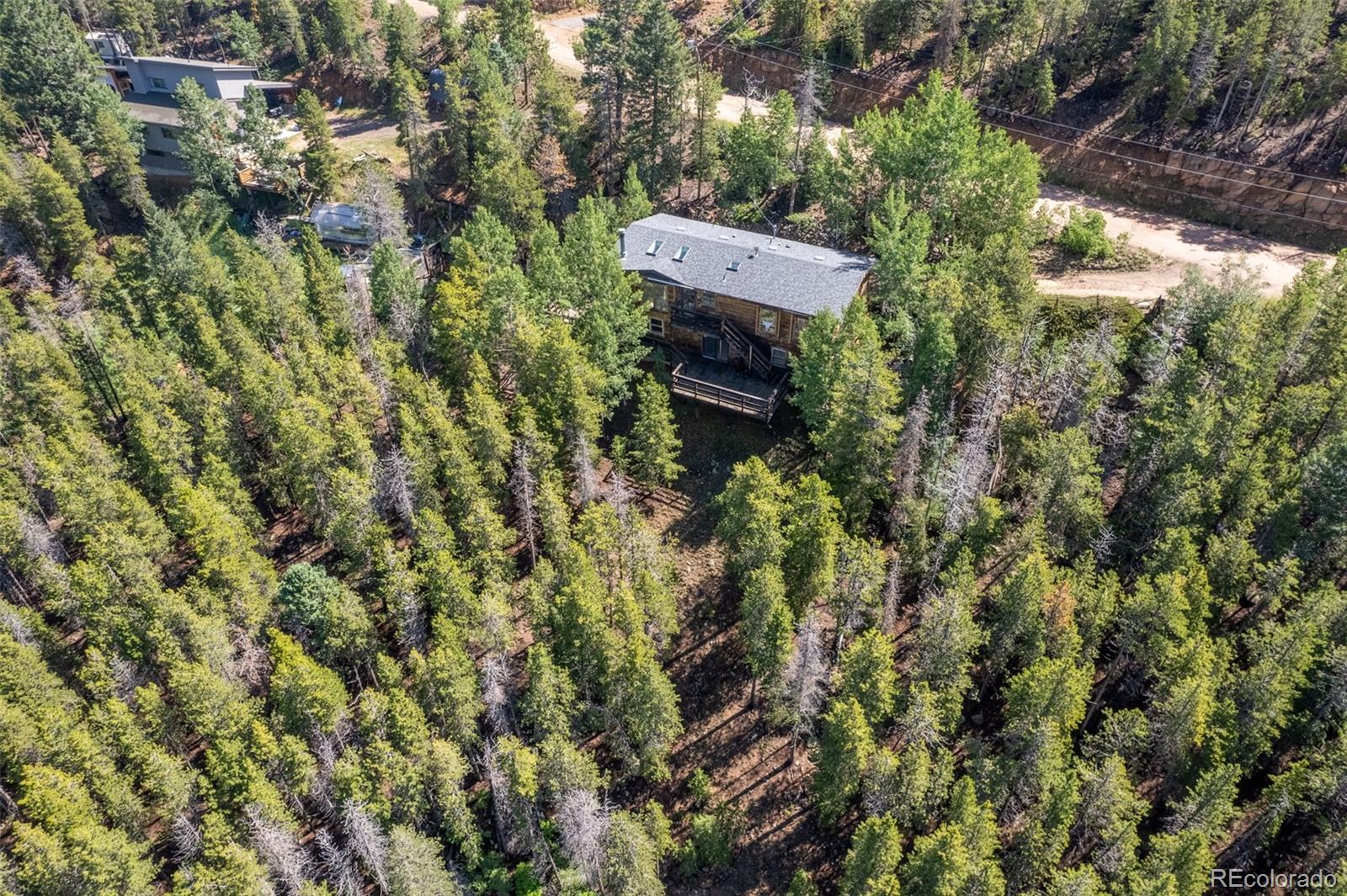 8643 Martin Lane Conifer, CO 80433 - Photo 35 of 37