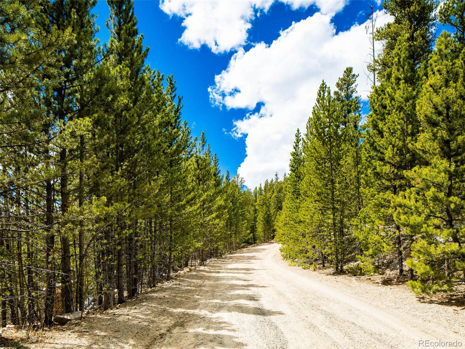 9 Rainbow Road Idaho Springs, CO 80452 - Photo 5 of 17