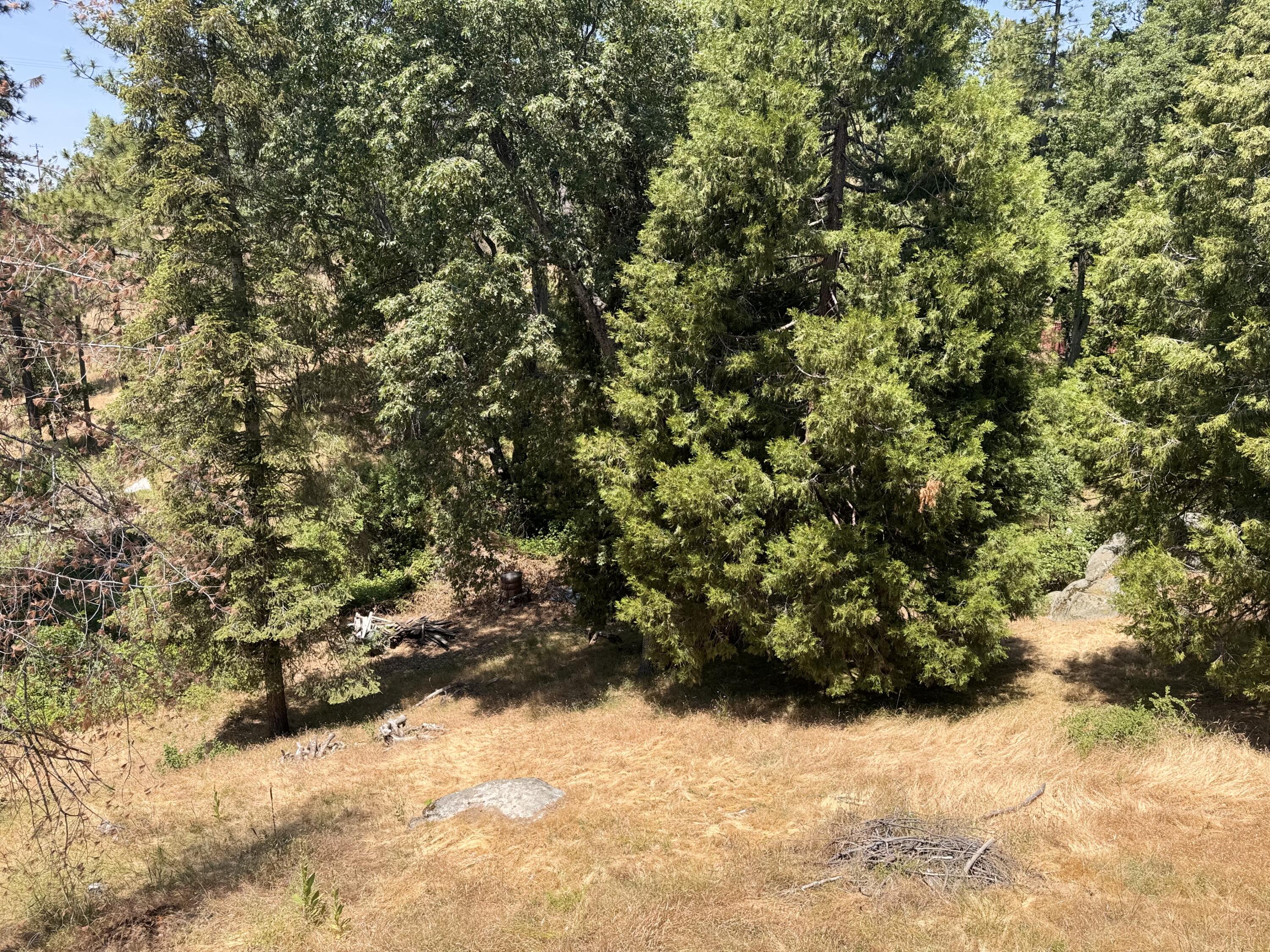 51911 Hogback Miramonte, CA 93641 - Photo 25 of 49 a view of a yard covered with snow
