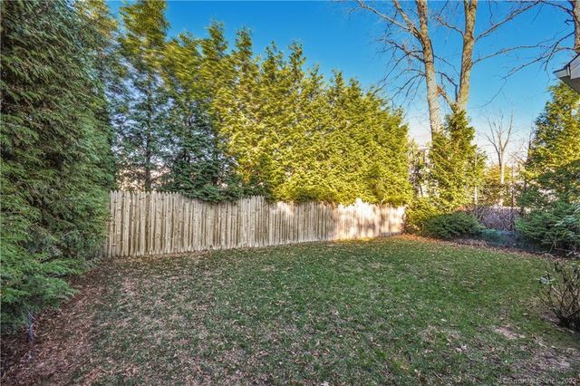a view of backyard with tree