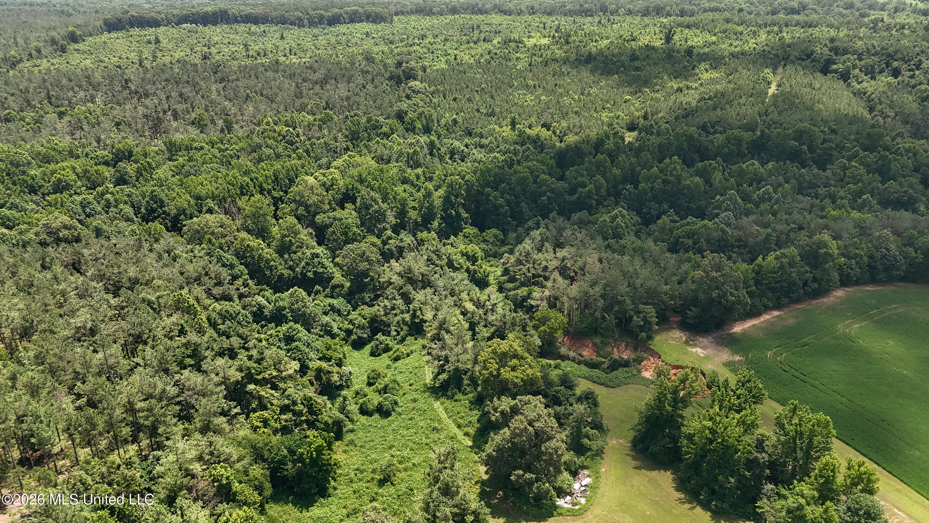 828 Little Egypt Road Ashland, MS 38603 - Photo 63 of 101 DJI_20260630115727_0329_D