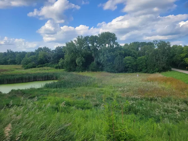 $660,000 | 11071 Crimmin Road, Newark, IL 60541