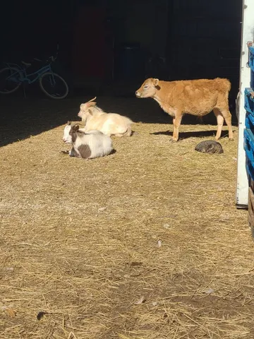 $660,000 | 11071 Crimmin Road, Newark, IL 60541