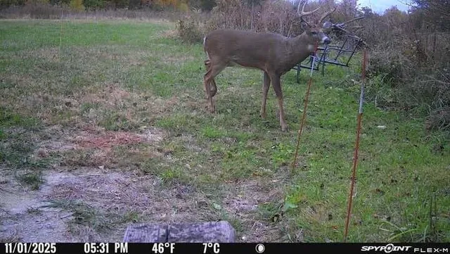 $660,000 | 11071 Crimmin Road, Newark, IL 60541