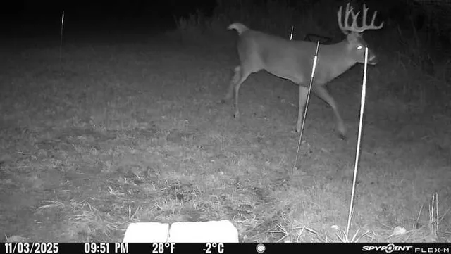 $699,500 | 11071 Crimmin Road, Newark, IL 60541