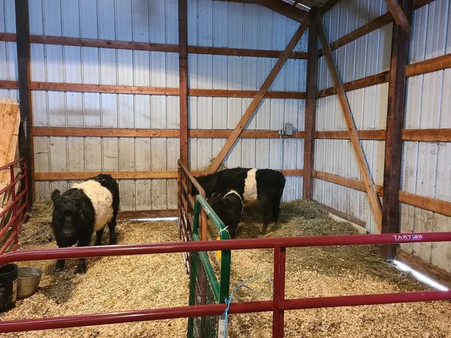 $660,000 | 11071 Crimmin Road, Newark, IL 60541