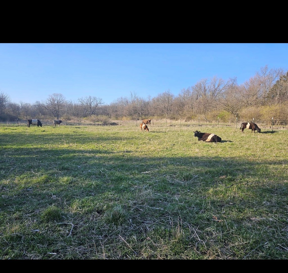 11071 Crimmin Road Newark, IL 60541 - Photo 7 of 44 a view of an ocean and beach