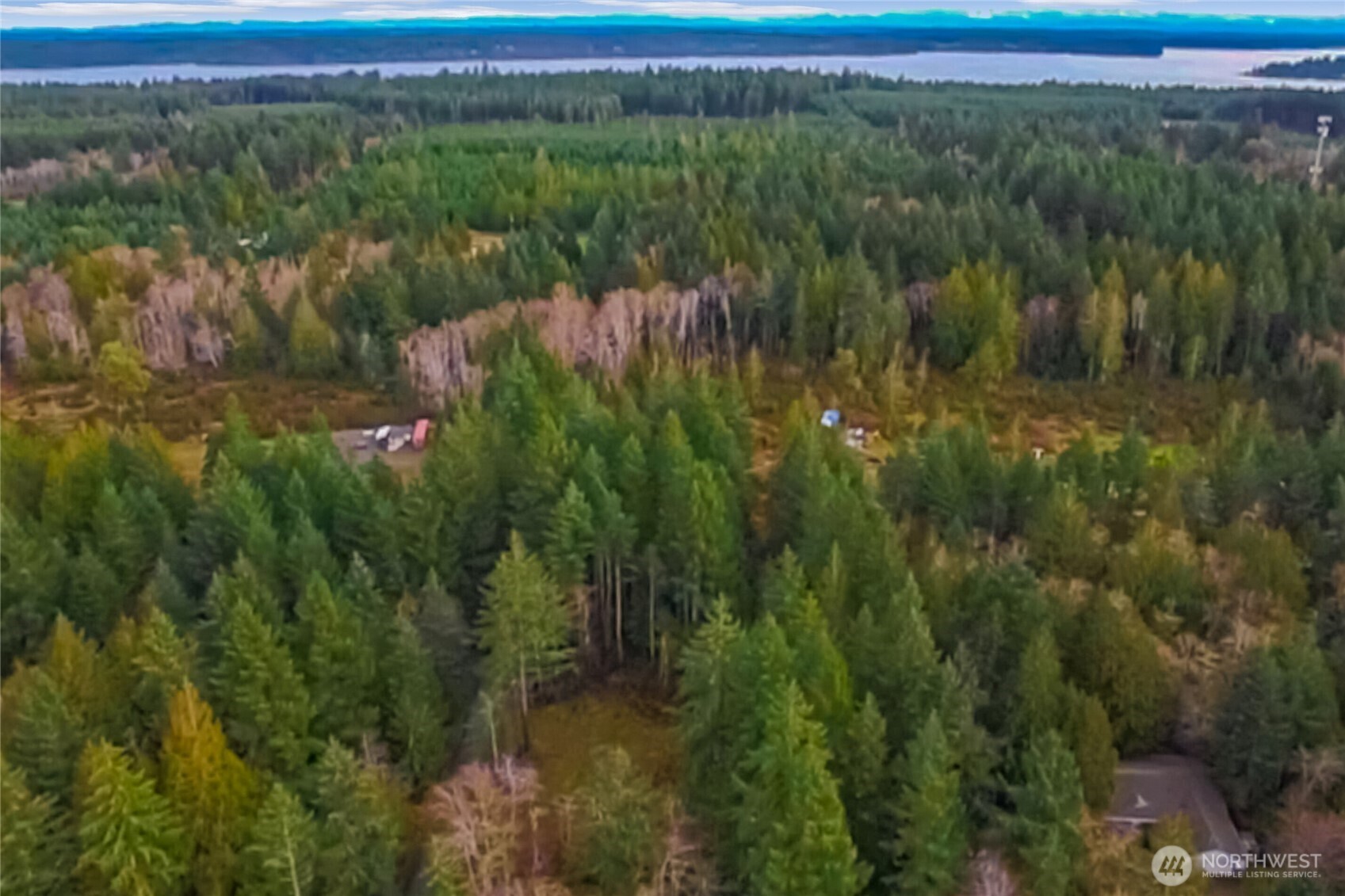 1 East Jared Road Shelton, WA 98584 - Photo 12 of 14 a view of a lush green forest with trees and some houses