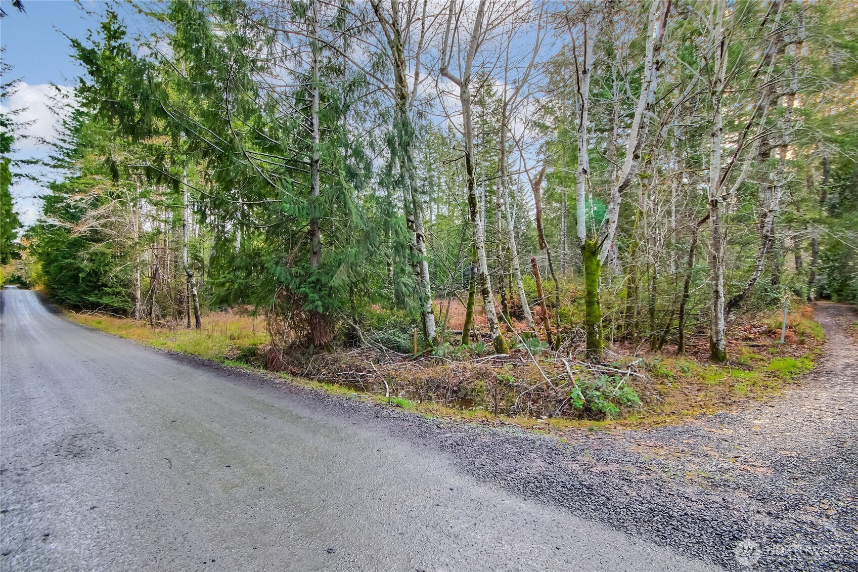 1 East Jared Road Shelton, WA 98584 - Photo 4 of 14 a backyard of a house with trees and plants