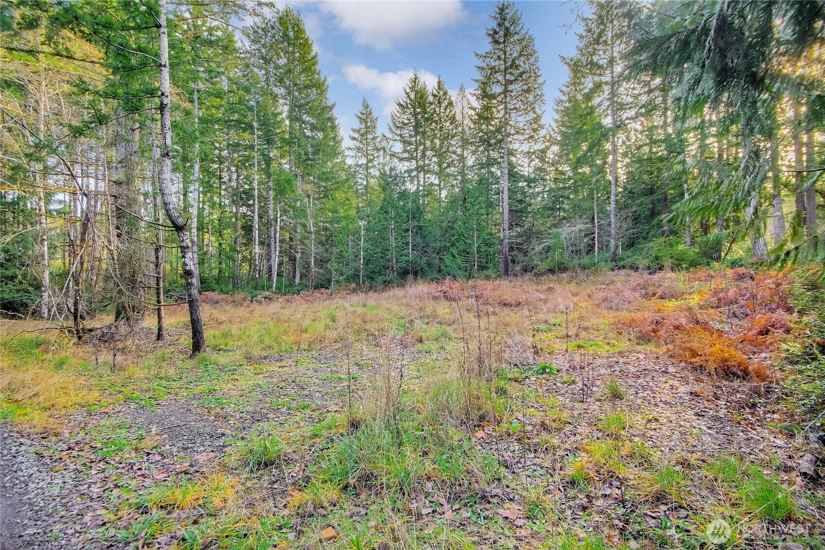 1 East Jared Road Shelton, WA 98584 - Photo 7 of 14 a view of backyard with tree