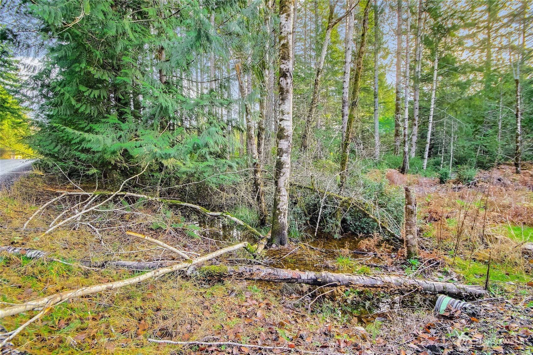 1 East Jared Road Shelton, WA 98584 - Photo 9 of 14 a backyard of a house with lots of green space and sink