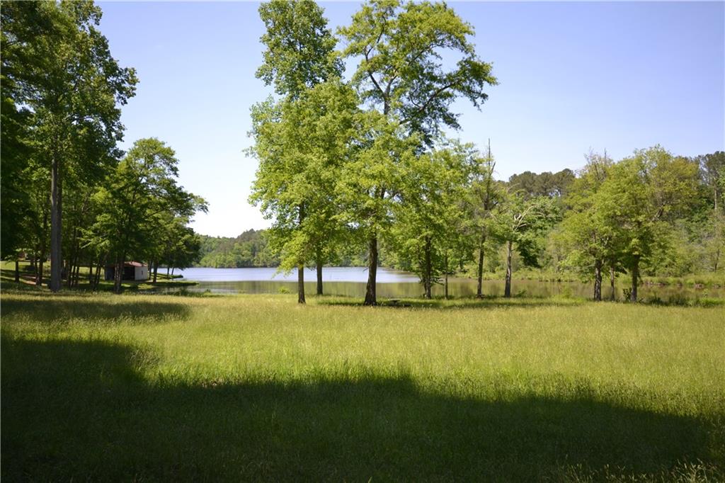 5960 Highway 120 Buchanan, GA 30113 - Photo 25 of 40