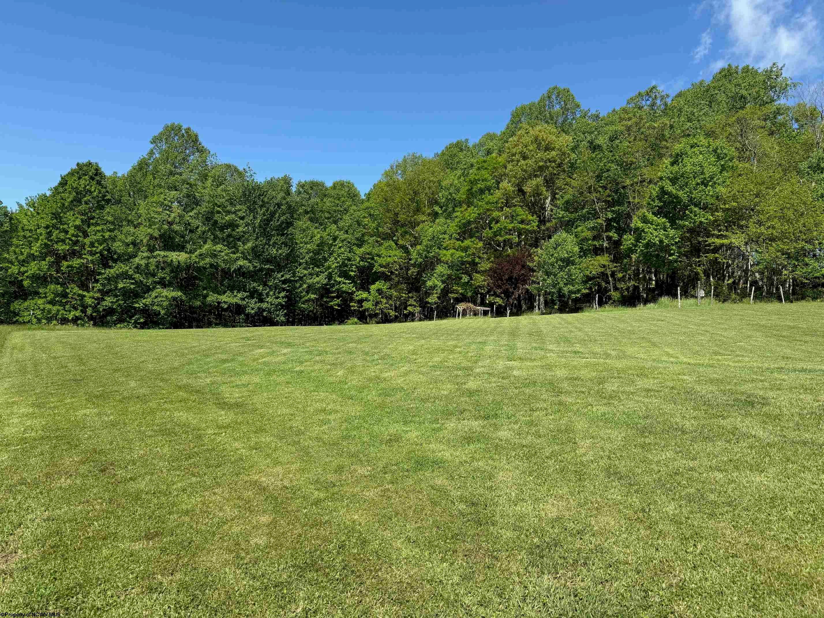 1209 Wolf Run Road Hambleton, WV 26269 - Photo 18 of 36 Gallery Image 18