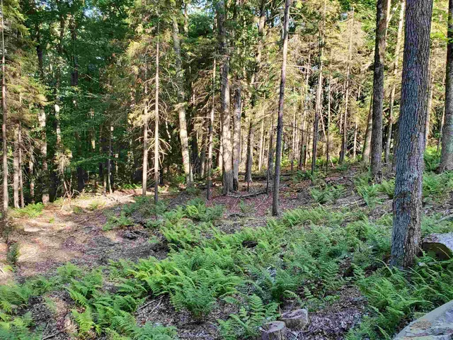 $39,900 | 4 Murdock Lane, Whitingham, VT 05361