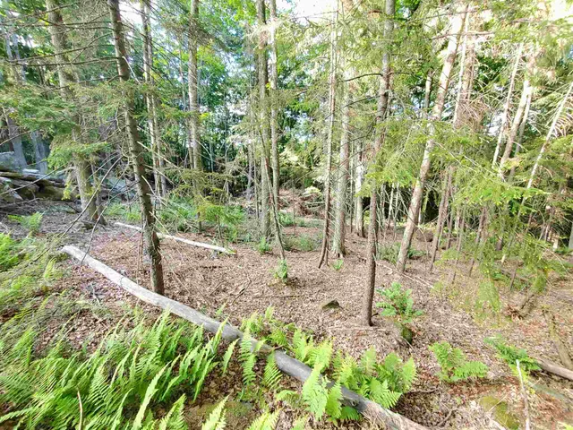 $39,900 | 4 Murdock Lane, Whitingham, VT 05361