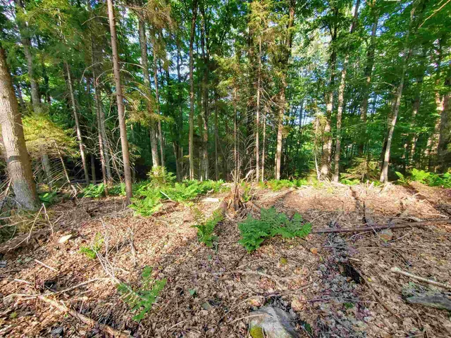 $39,900 | 4 Murdock Lane, Whitingham, VT 05361