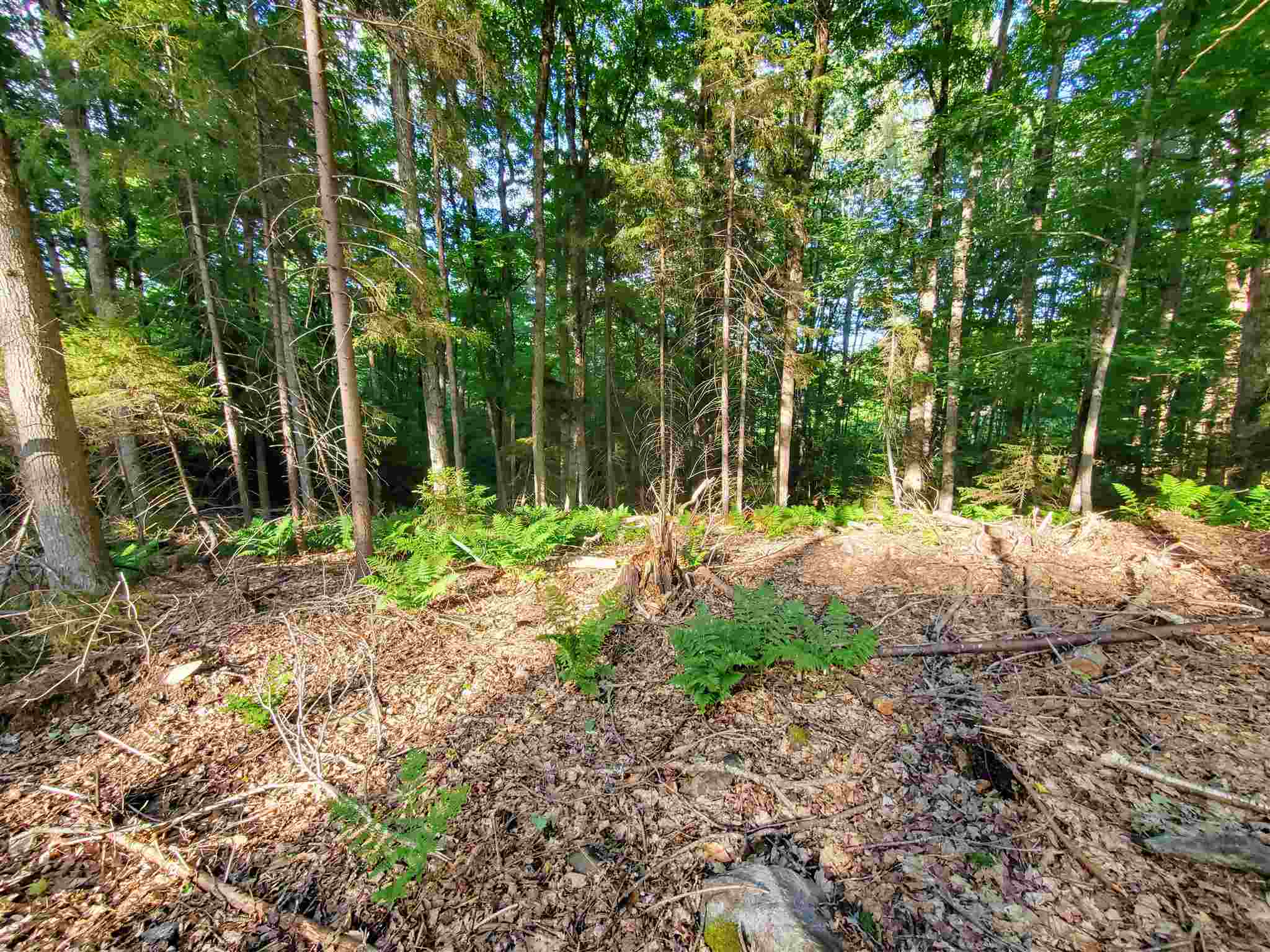 4 Murdock Lane Whitingham, VT 05361 - Photo 4 of 17