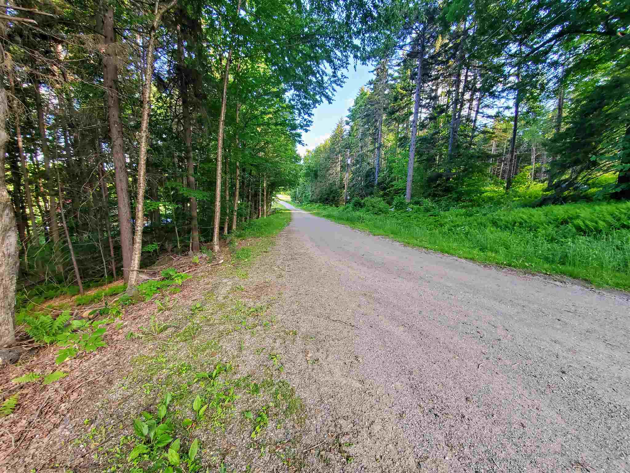 4 Murdock Lane Whitingham, VT 05361 - Photo 7 of 17