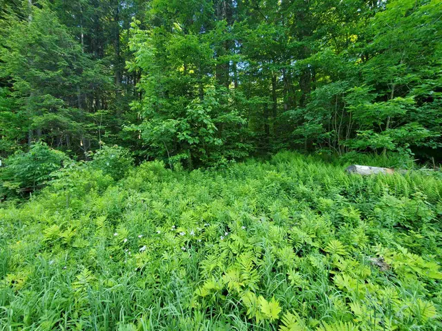 $39,900 | 4 Murdock Lane, Whitingham, VT 05361