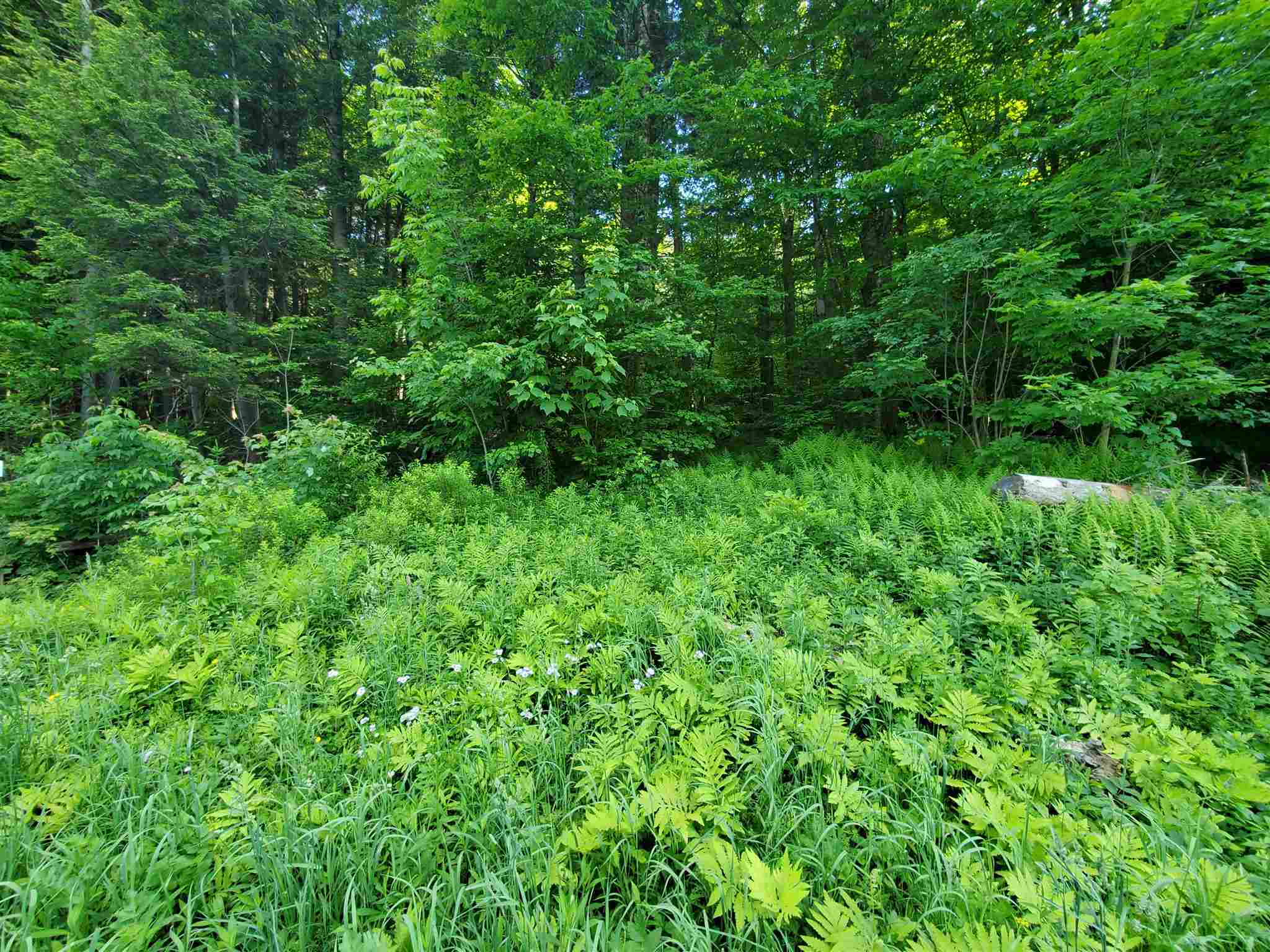 4 Murdock Lane Whitingham, VT 05361 - Photo 10 of 17