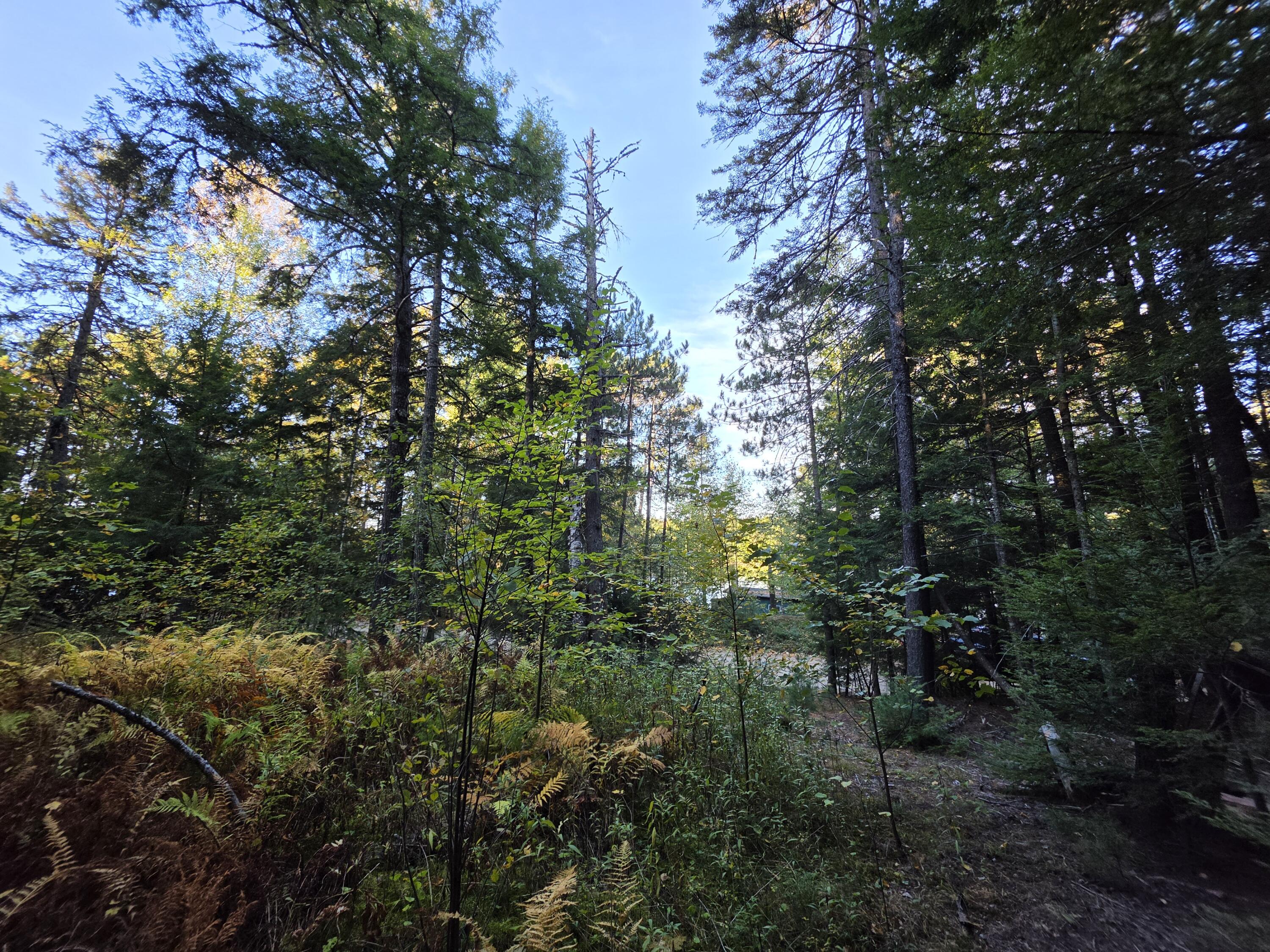 Lot 3 East Shore Road Lakeville, ME 04487 - Photo 57 of 59 20261007_074829