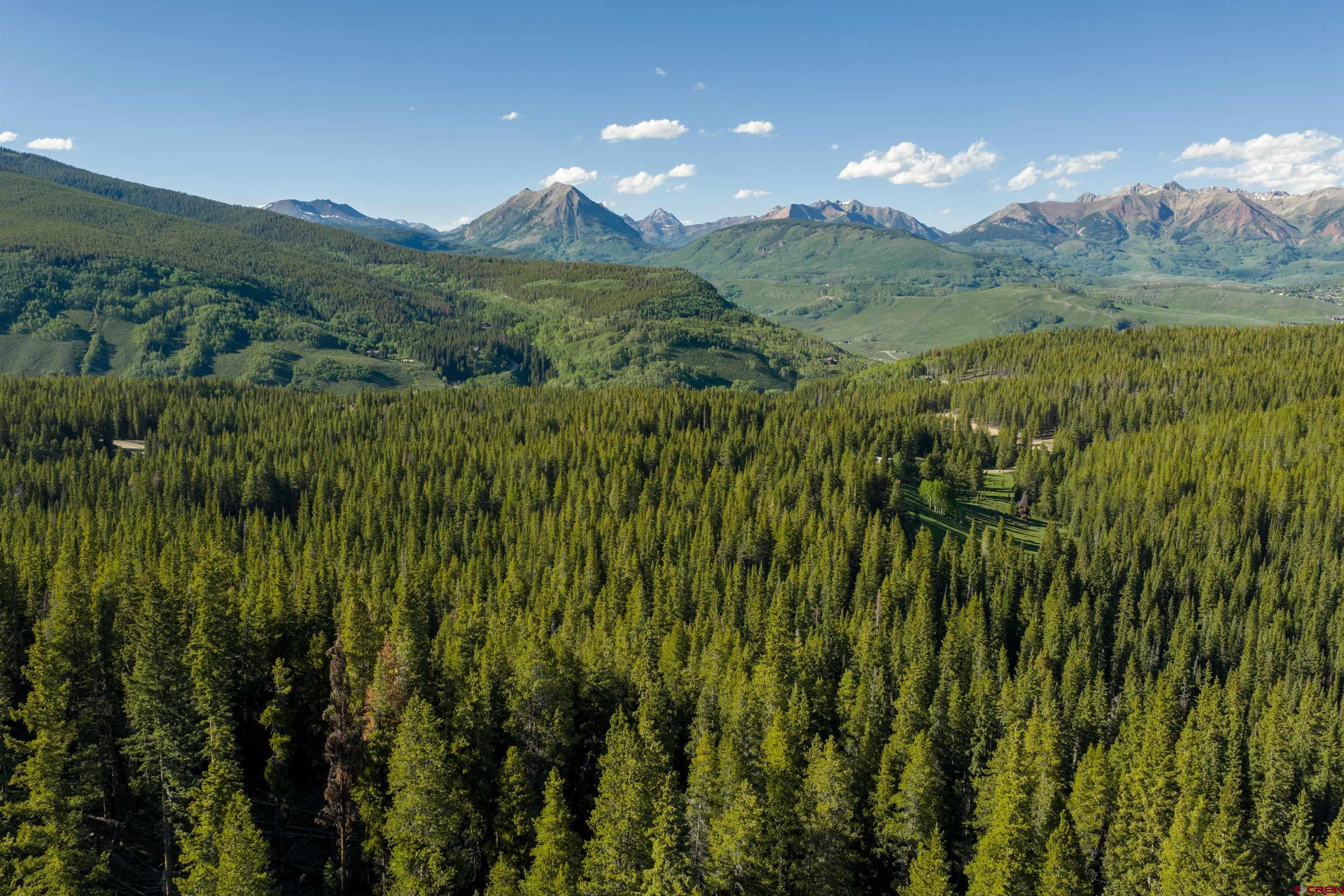 5350 Wildcat Trail Crested Butte, CO 81224 - Photo 5 of 20 a view of a lush green outdoor space with a lake view