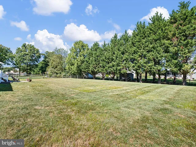 a view of yard with green space