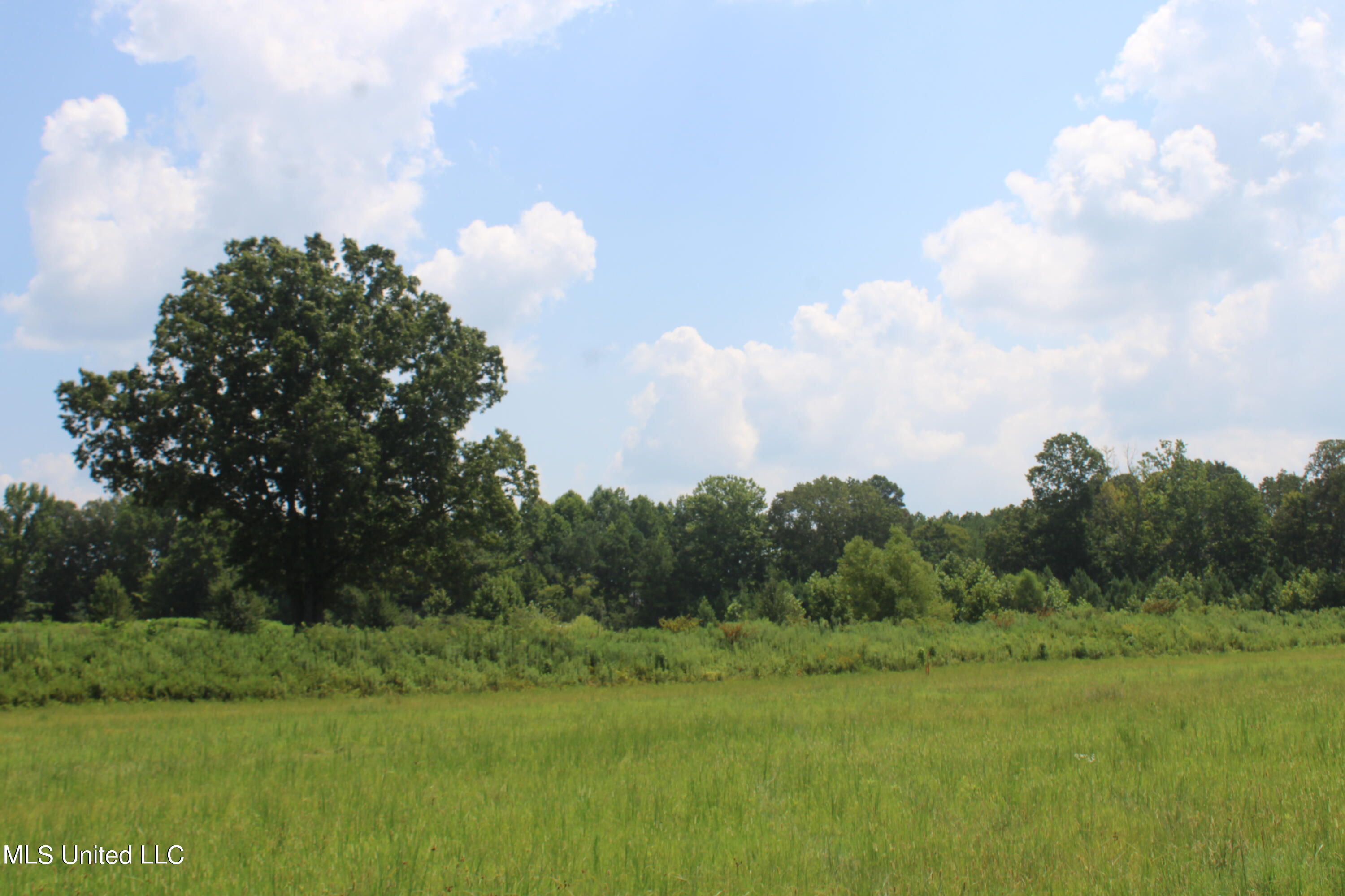 15001 Fairview Road Byhalia, MS 38611 - Photo 11 of 19 IMG_4332