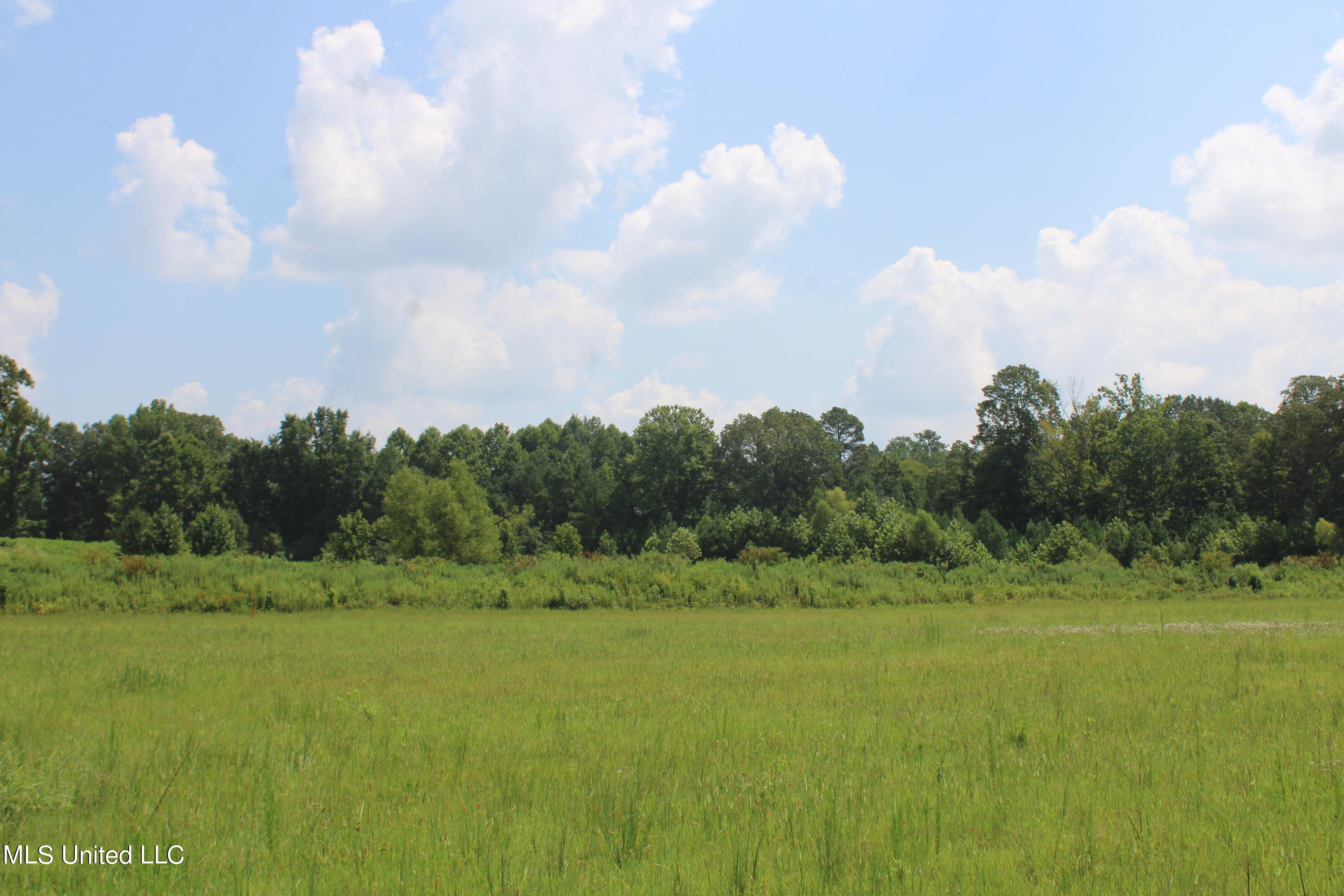 15001 Fairview Road Byhalia, MS 38611 - Photo 12 of 19 IMG_4333