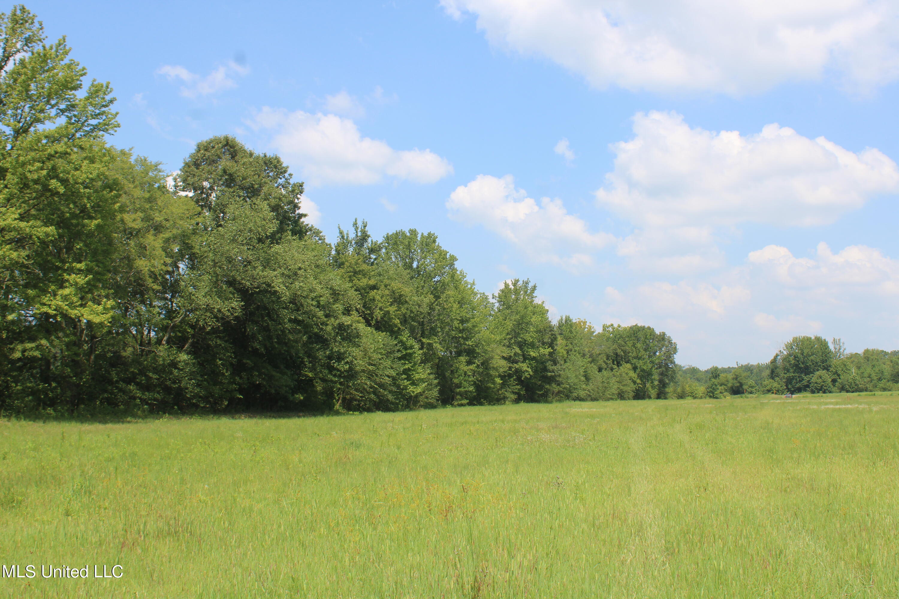 15001 Fairview Road Byhalia, MS 38611 - Photo 13 of 19 IMG_4334