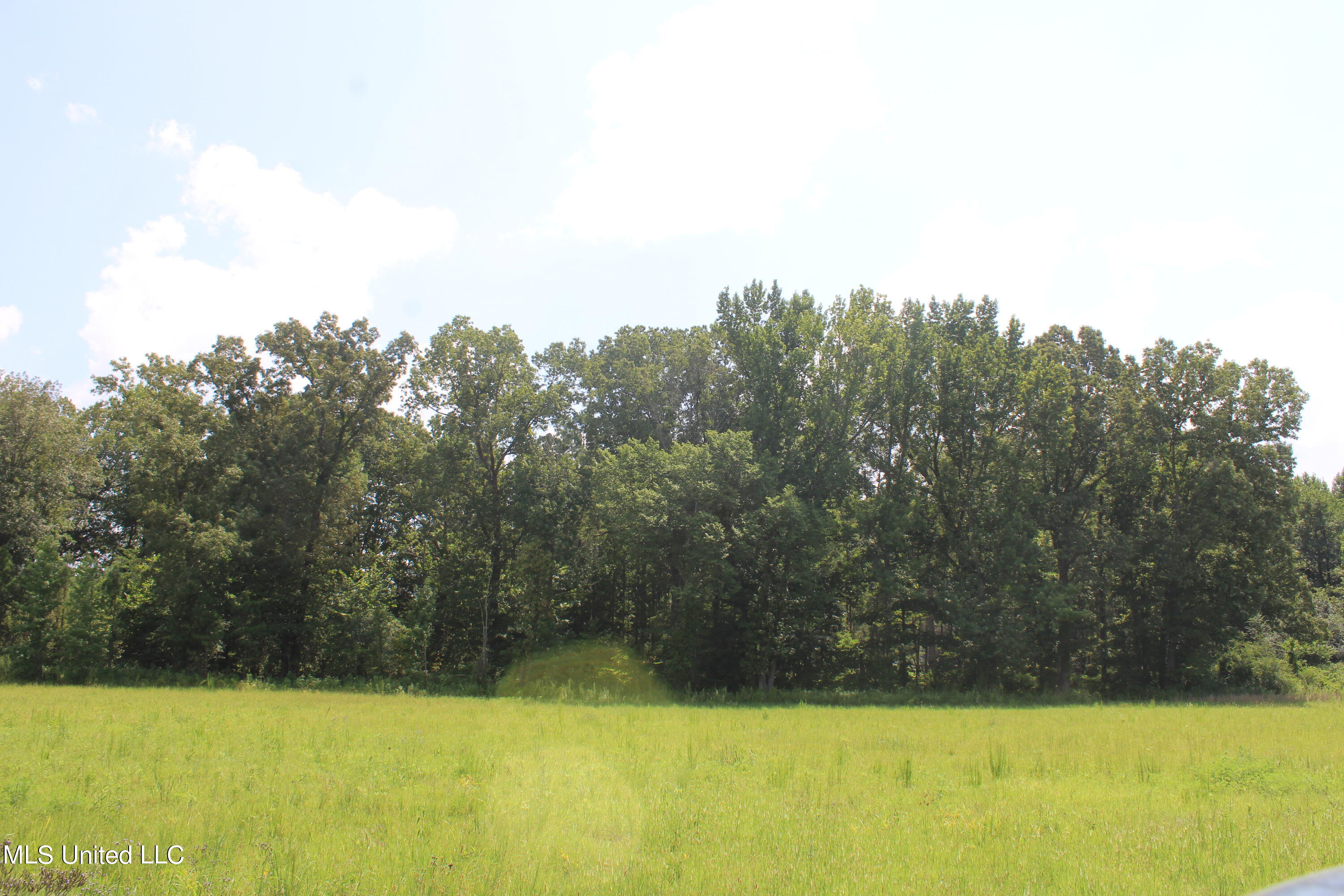 15001 Fairview Road Byhalia, MS 38611 - Photo 14 of 19 IMG_4335