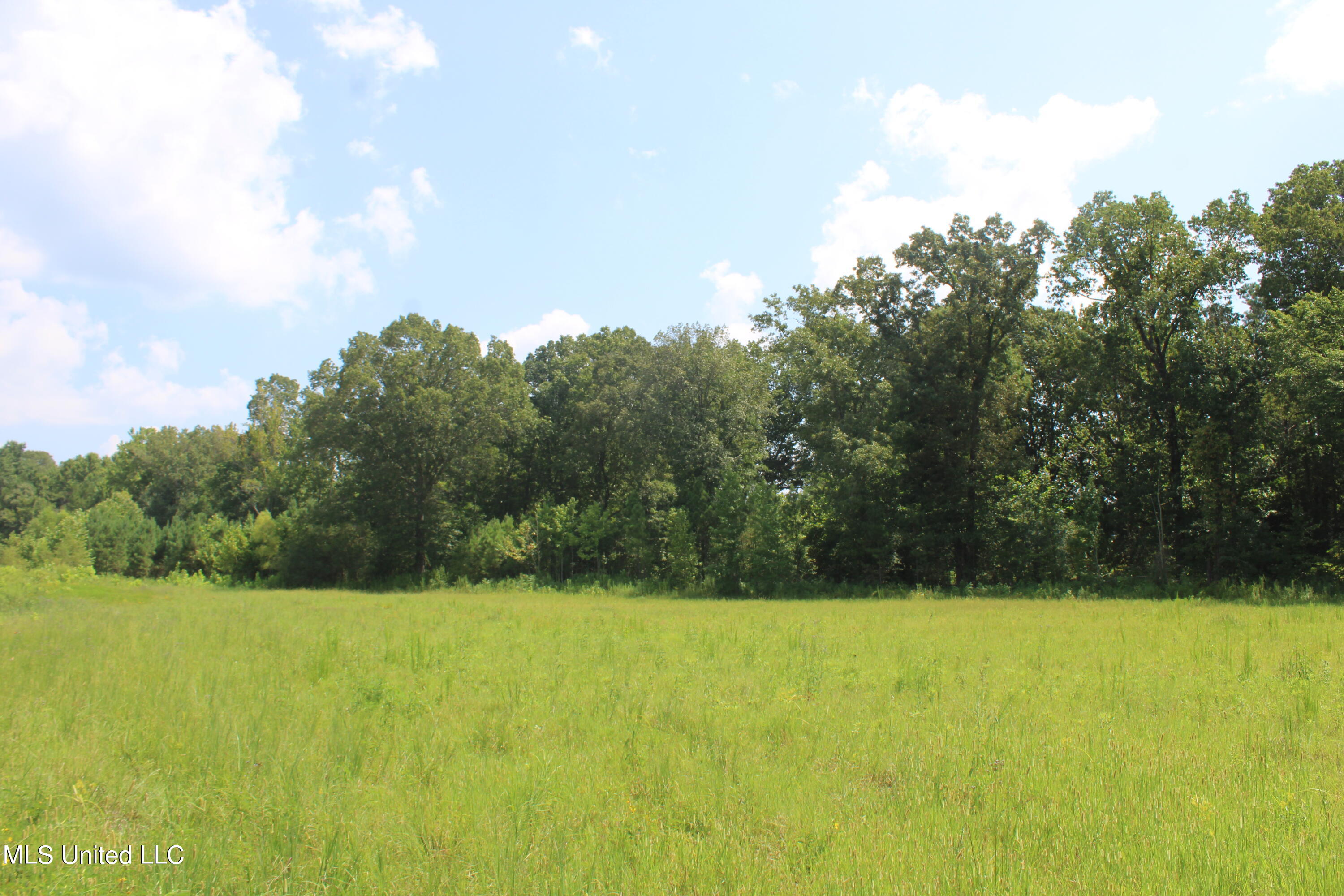 15001 Fairview Road Byhalia, MS 38611 - Photo 15 of 19 IMG_4336