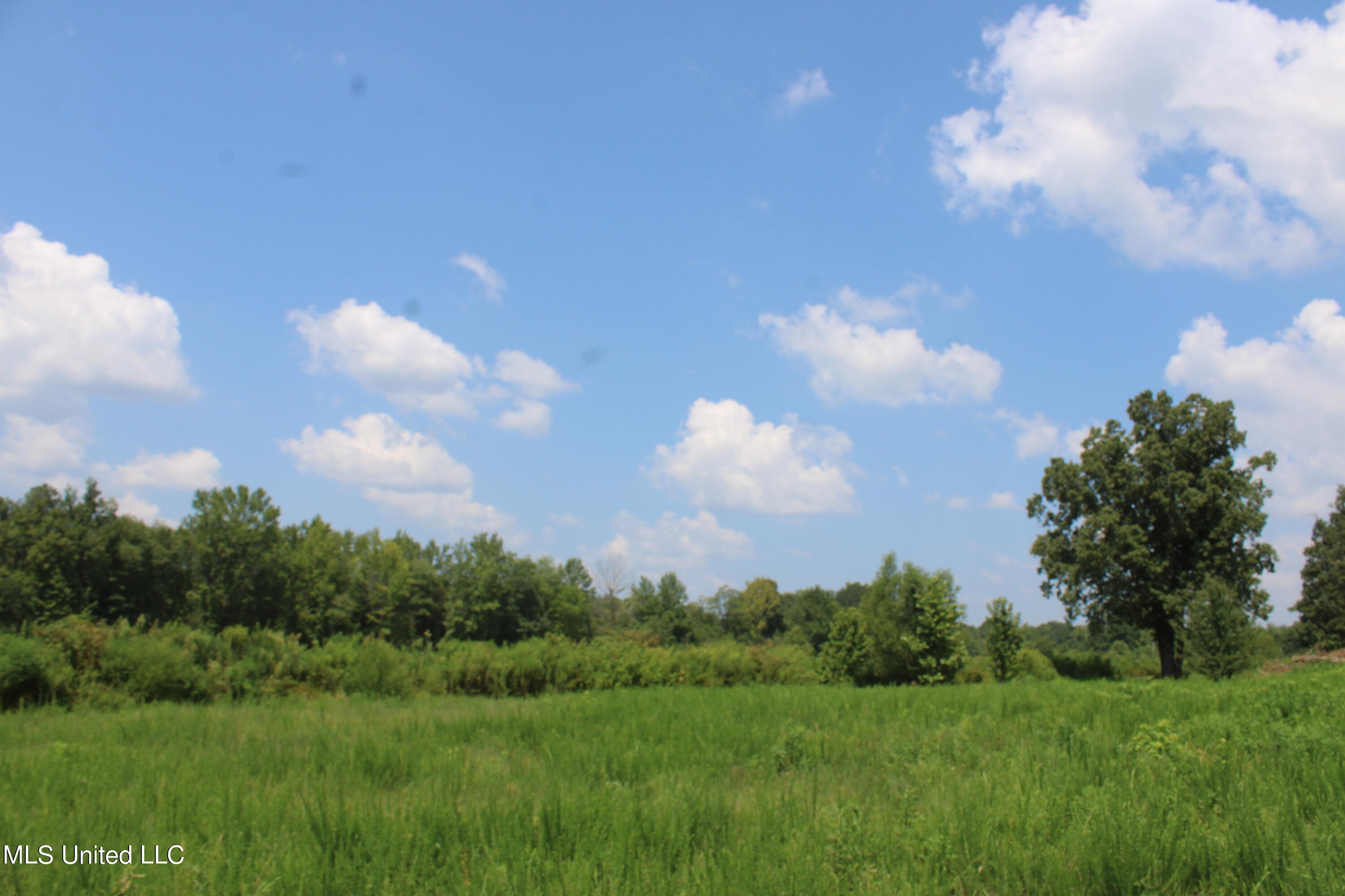 15001 Fairview Road Byhalia, MS 38611 - Photo 17 of 19 IMG_4338