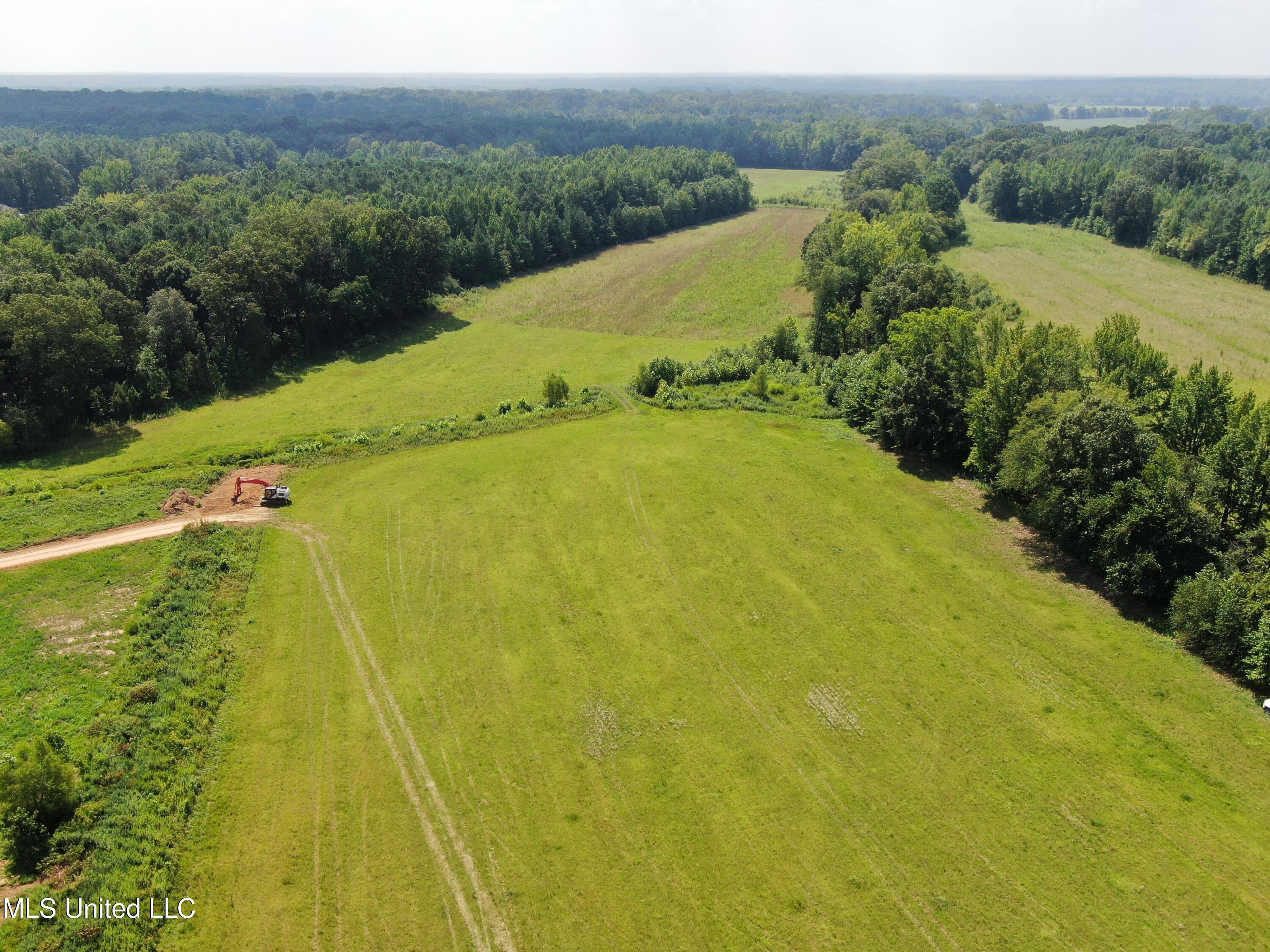 15001 Fairview Road Byhalia, MS 38611 - Photo 2 of 19 12 acres Fairview 2