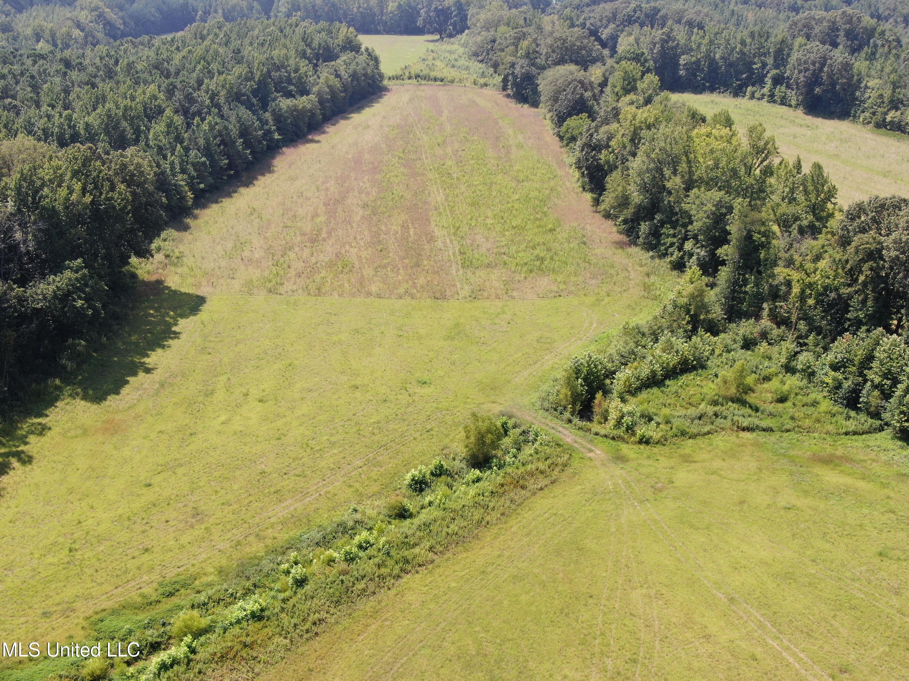 15001 Fairview Road Byhalia, MS 38611 - Photo 3 of 19 12 acres Fairview 3