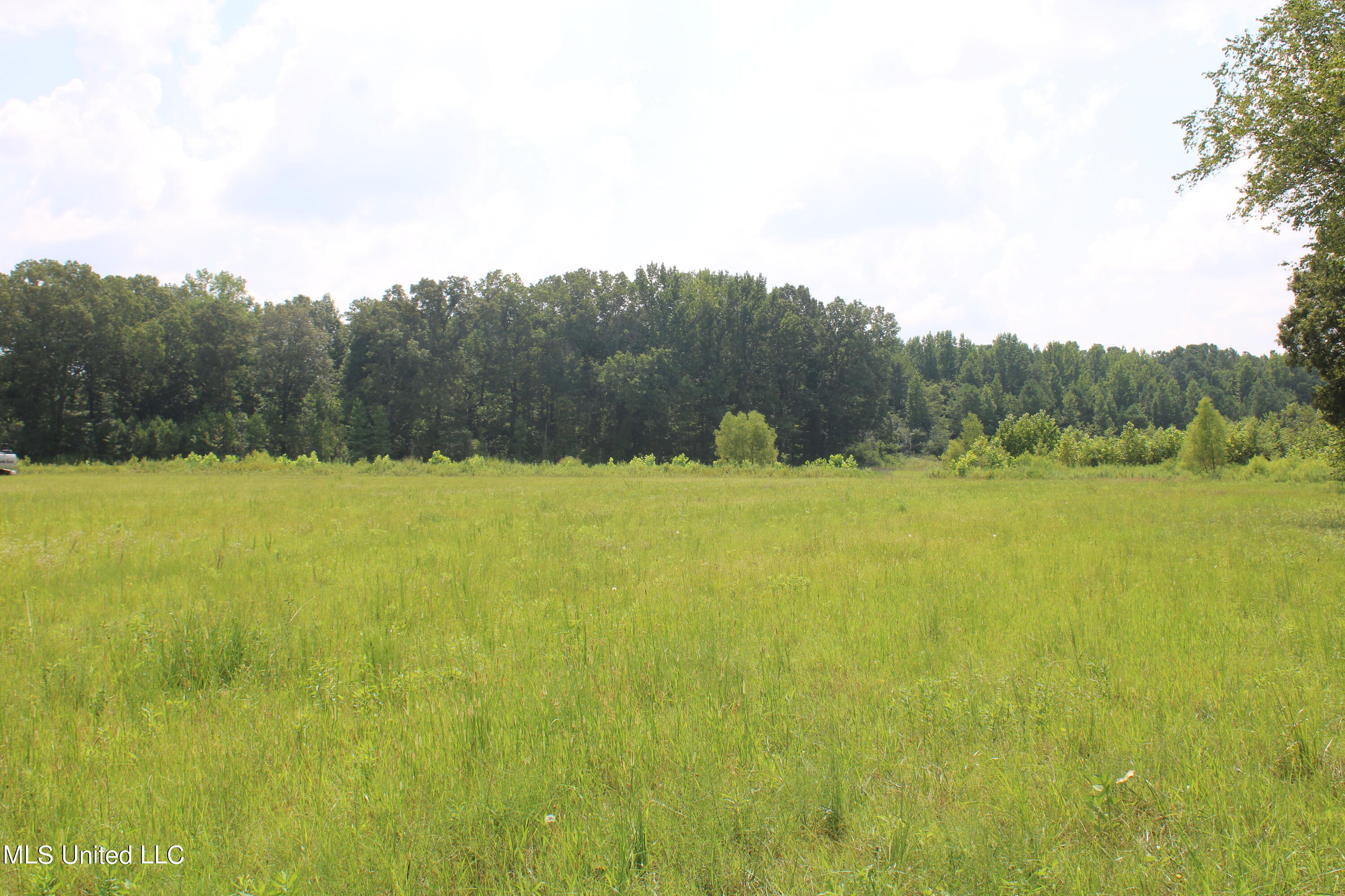 15001 Fairview Road Byhalia, MS 38611 - Photo 8 of 19 IMG_4329