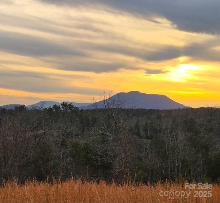 Lot #1 Prices Drive Rutherfordton, NC 28139 - Photo 1 of 5 a view of a back yard