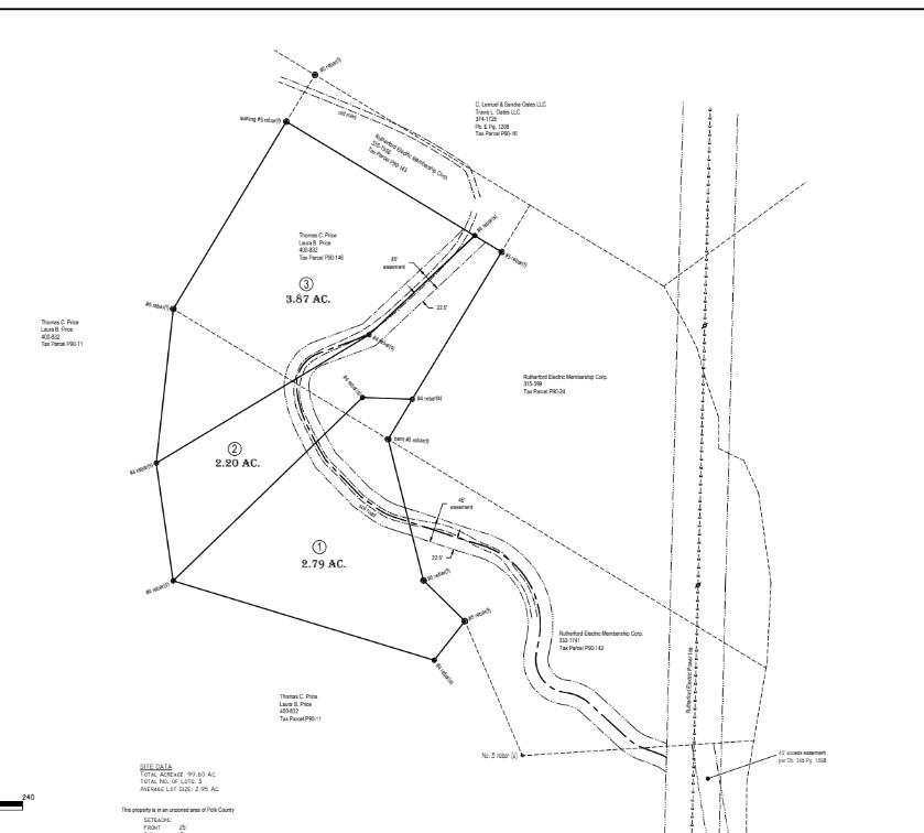 Lot #1 Prices Drive Rutherfordton, NC 28139 - Photo 5 of 5 a picture of a person on a street