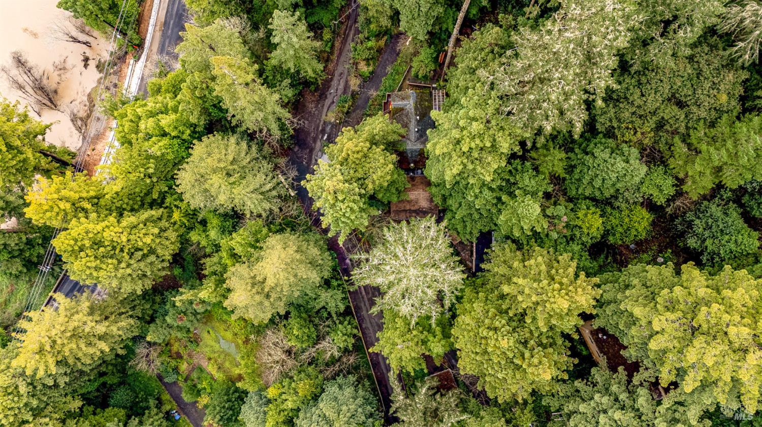17910 Old Monte Rio Road Guerneville, CA 95446 - Photo 12 of 20 a view of a garden