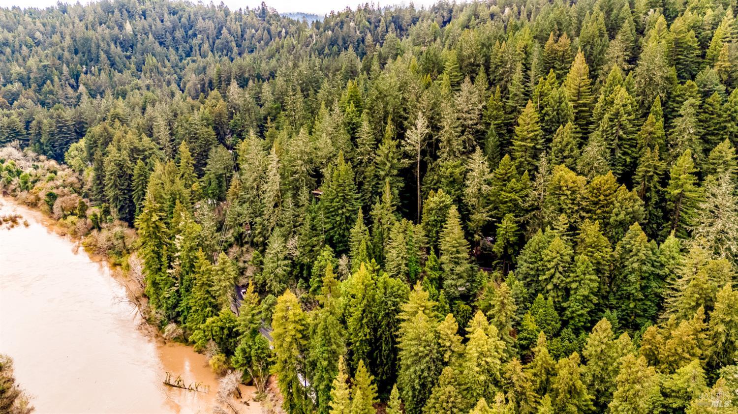 17910 Old Monte Rio Road Guerneville, CA 95446 - Photo 13 of 20 a view of a yard