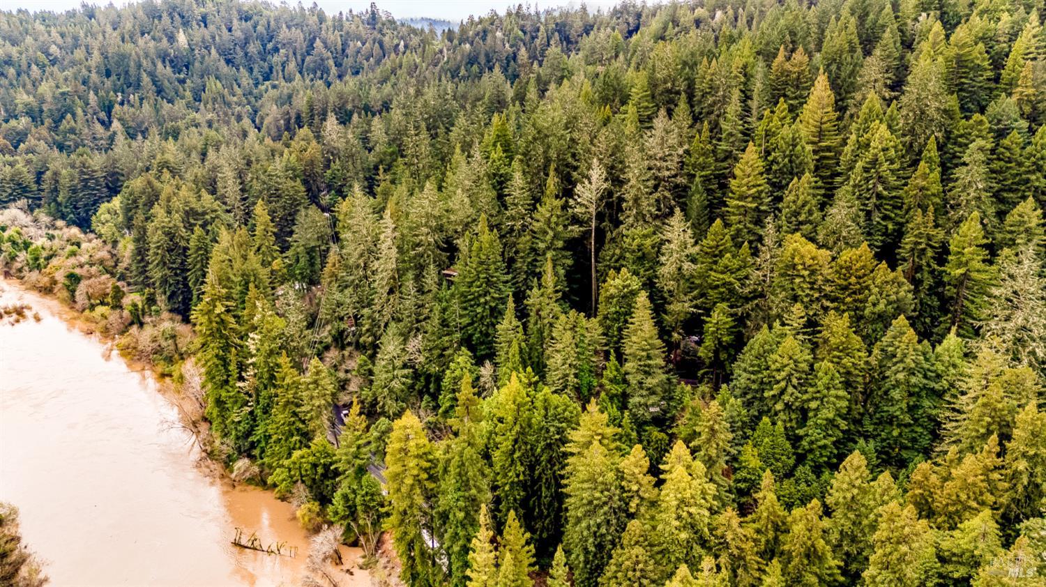 17910 Old Monte Rio Road Guerneville, CA 95446 - Photo 14 of 20 a view of a yard