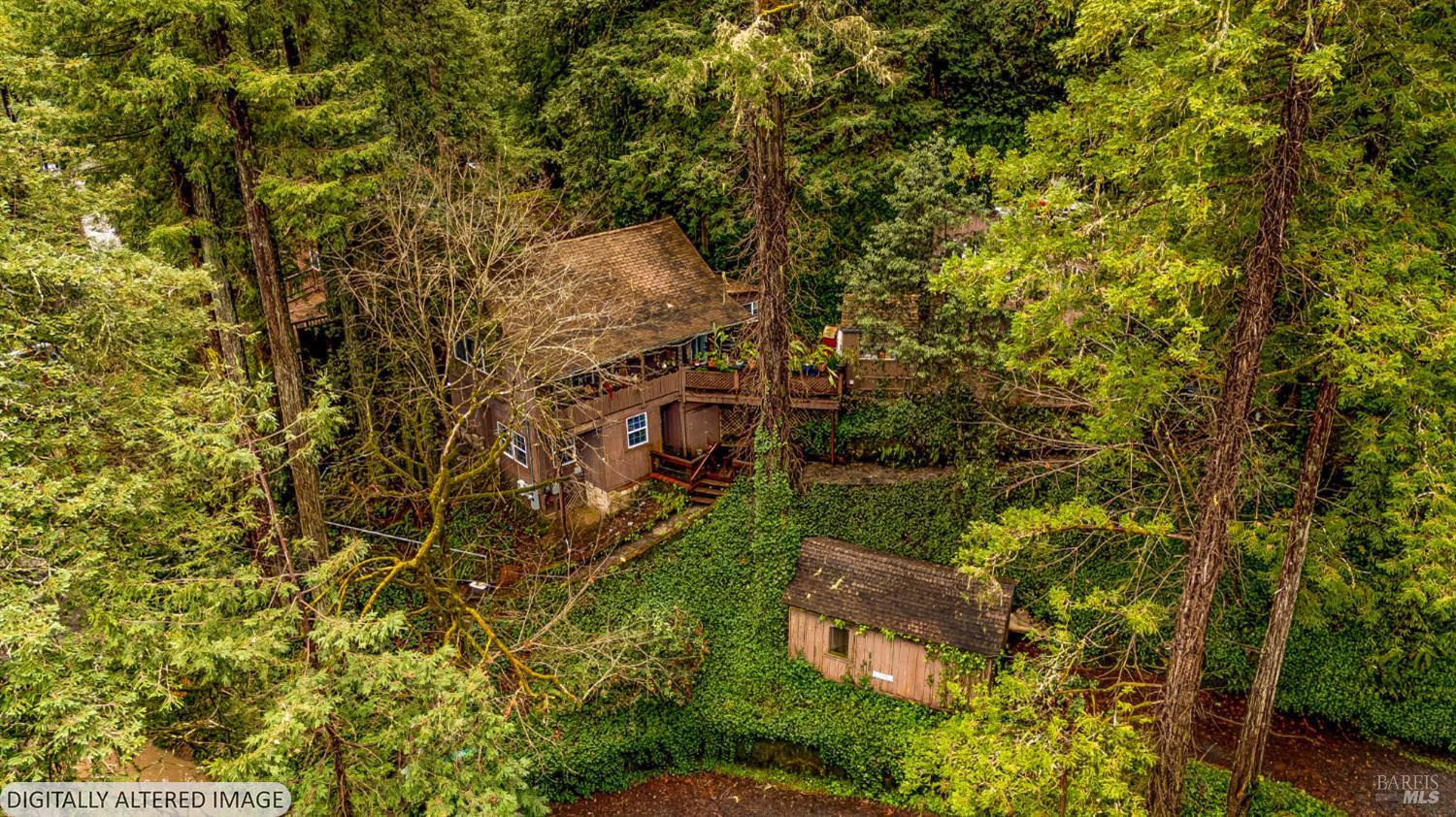 17910 Old Monte Rio Road Guerneville, CA 95446 - Photo 15 of 20 a view of a yard with plants and large trees