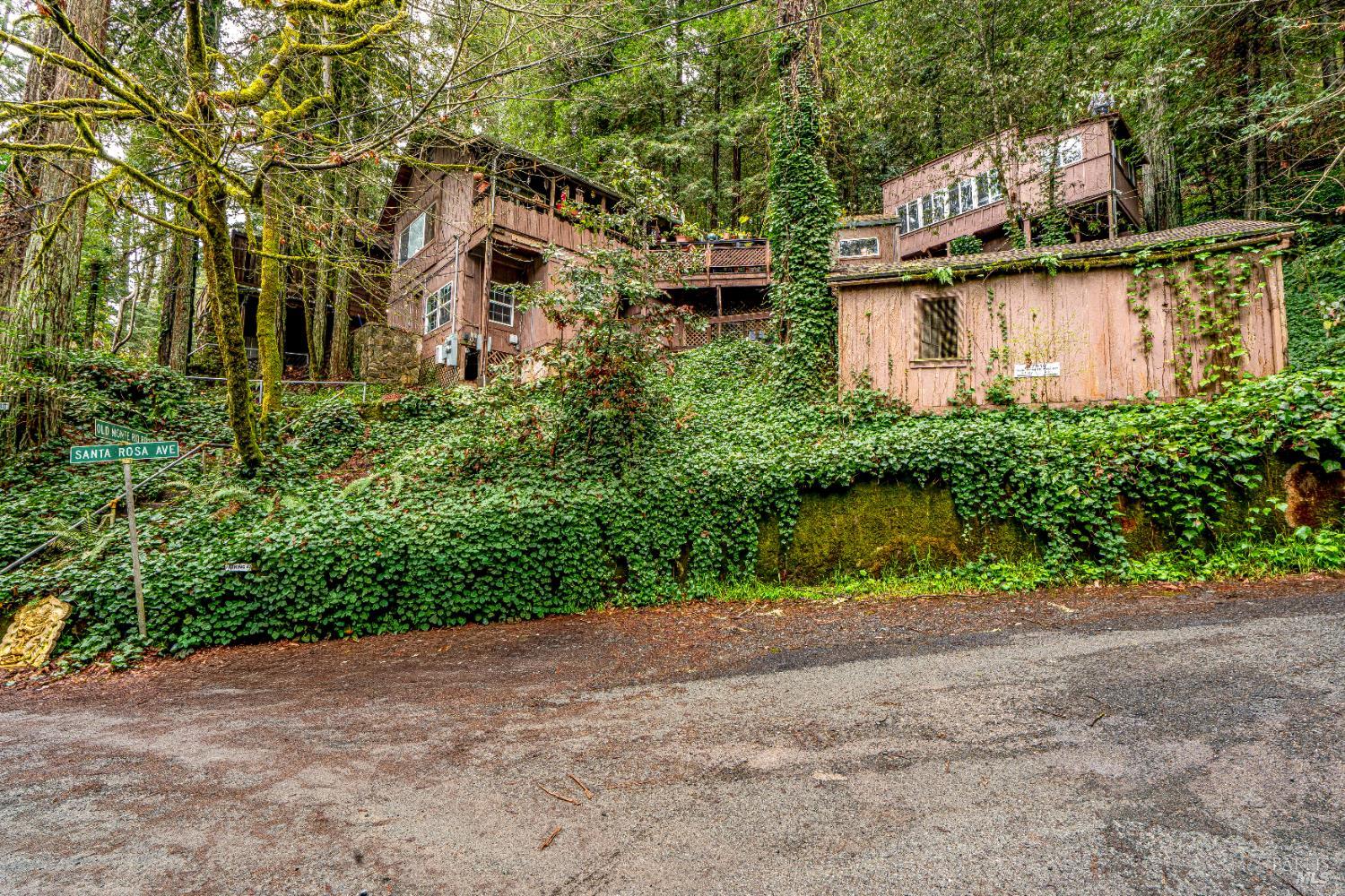 17910 Old Monte Rio Road Guerneville, CA 95446 - Photo 18 of 20 a view of a back yard of the house