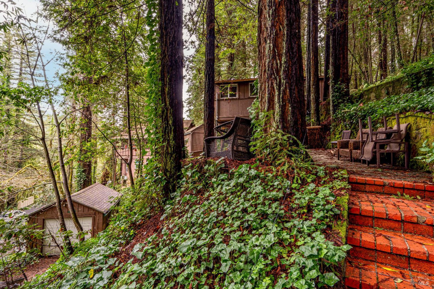 17910 Old Monte Rio Road Guerneville, CA 95446 - Photo 5 of 20 a backyard of a house with table and chairs large trees