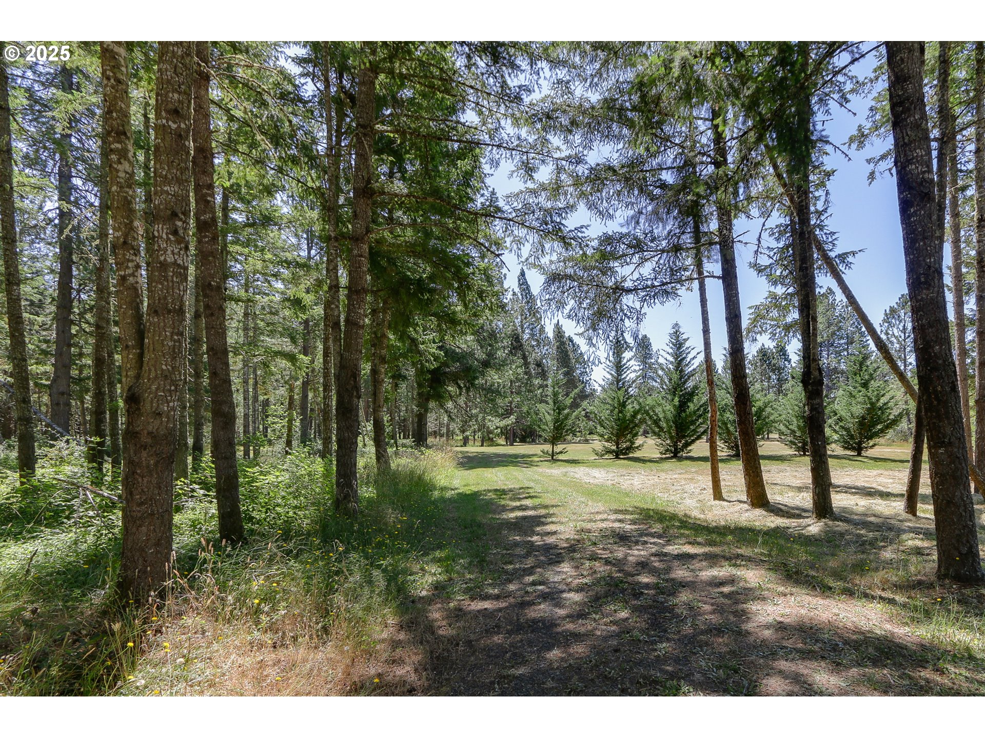 25454 Perkins Road Veneta, OR 97487 - Photo 22 of 32