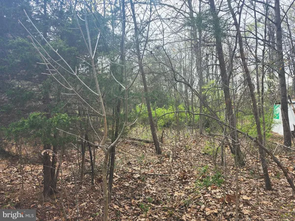 $29,900 | Lot 25 Shumac Trail, Augusta, WV 26704