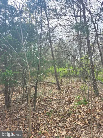 $29,900 | Lot 25 Shumac Trail, Augusta, WV 26704