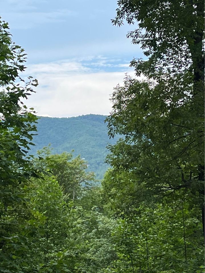 92 Boulder Lane Rabun Gap, GA 30568 - Photo 42 of 55